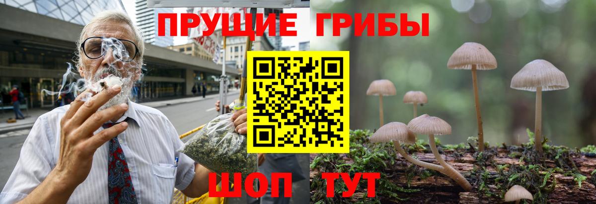 Галлюциногенные грибы GOLDEN TEACHER  Вход с VPN  хочу   Аргун 