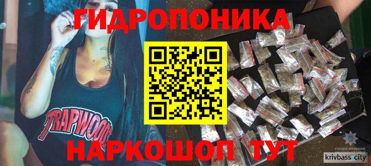 Бошки Шишки план Аргун